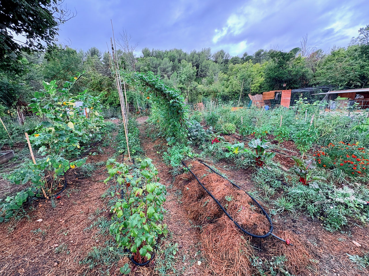 Photo du site Ortabels